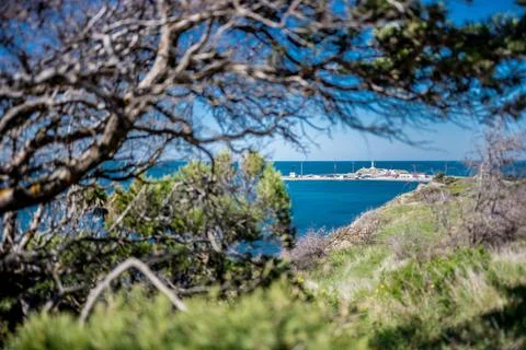 View of the beach from the trees Stock Photos
