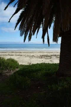 View at the beach under a palm tree Stock Photos