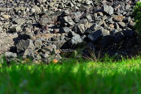 View of beach waves breaking on dark rocks during low tide. Paradise beach... Stock Photos