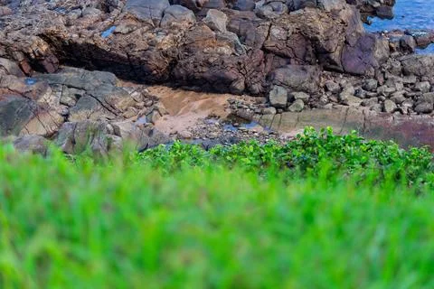 View of beach waves breaking on dark rocks during low tide. Paradise beach... Photos