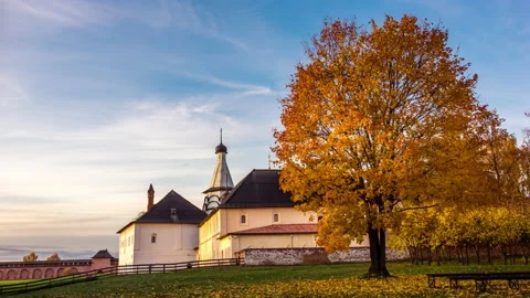 View of Beautiful Autumn Maple Tree Stock Footage 155687362