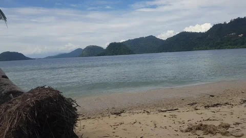 A view of the beautiful beach and a coconut tree 스톡 동영상 293947996
