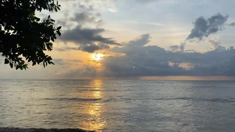 View of beautiful beach and sunset Stock Footage 290459549