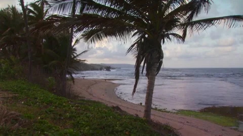 View of beautiful beach, Barbados Stock Footage 60690794