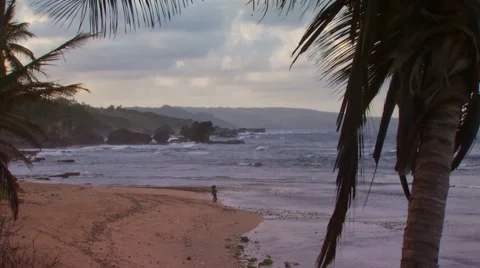 View of beautiful beach, Barbados Stock Footage 60690801