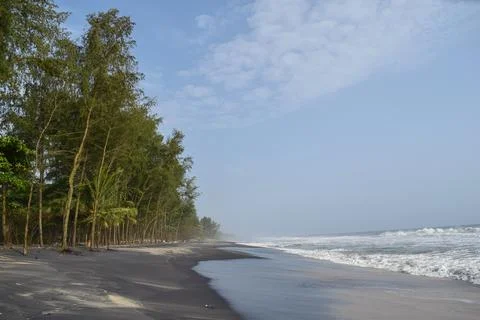 View of a Beautiful beach with pine trees and blue sky Stock Photos