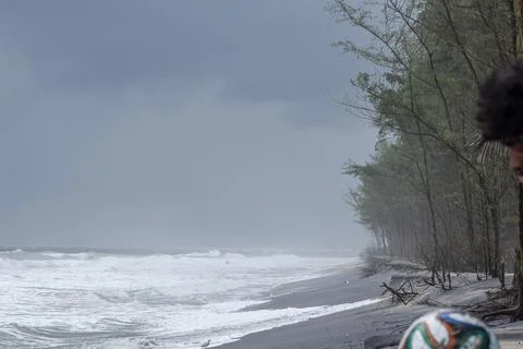 View of a Beautiful beach with pine trees and blue sky Stock Photos