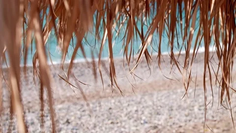 View of beautiful blue sea through dry palm leaves. Copy space for your text, so Stock Footage 220362480
