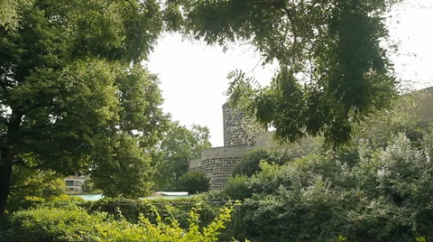 View of a beautiful castle through the branches of the trees Stock Footage 58854200