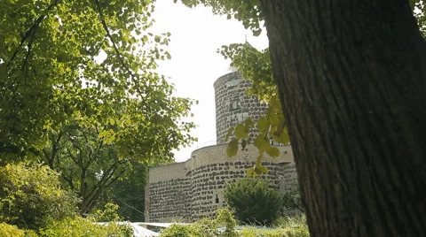 View of a beautiful castle through the branches of the trees Stock Footage 58854937