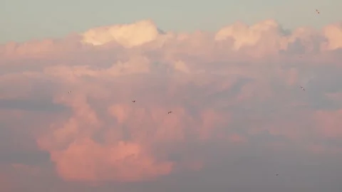A view of beautiful cloudscape early in the morning. Stock Footage 275540403