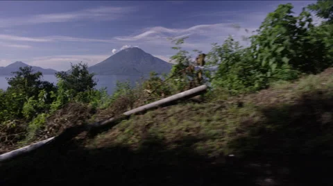 View of beautiful forest in Guatemala Stockbeeldmateriaal 63058008