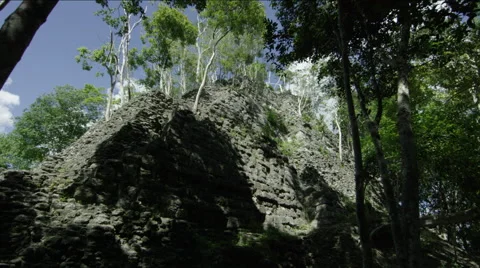 View of beautiful forest in Guatemala Stock Footage 63058660