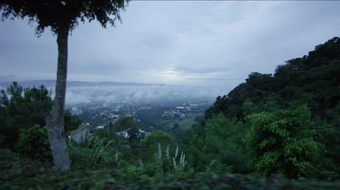 View of beautiful forest in Guatemala Stock Footage 63059185