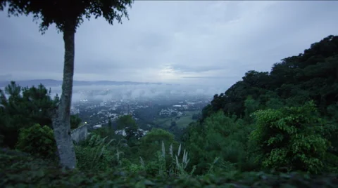 View of beautiful forest, Guatemala Stock Footage 63059319