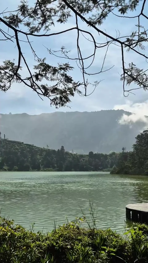 View of beautiful forest lake Stock Footage 292975163