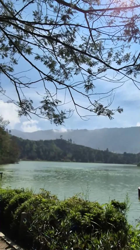 View of beautiful forest lake Stock Footage 292975298