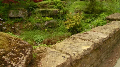 View of beautiful garden Video stock 57815351
