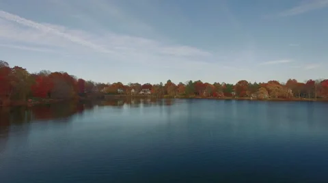 View of beautiful lake and forest during autumn Stock Footage 63463185