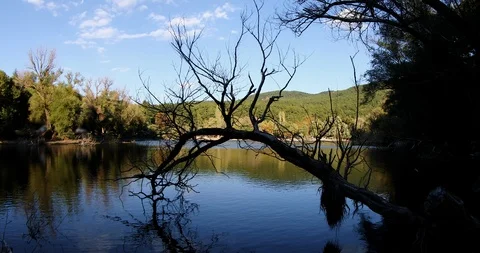 A view of beautiful lake with white cloud at spring time Stock Footage 102147753