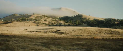 View of beautiful landscape Stock Footage 68494703