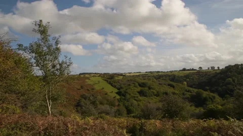 View of beautiful landscape Stock Footage 219282846