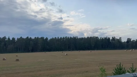 View of the beautiful landscape - haystack lie in the line on the large field Stock Footage 331569297