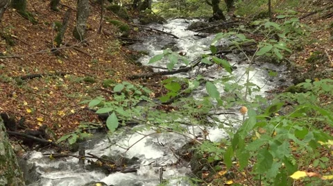 View of beautiful mountain creek Stock Footage 56080315