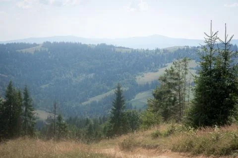 View of the beautiful mountain range and the beautiful sky (Carpathians, Ukra Foto stock