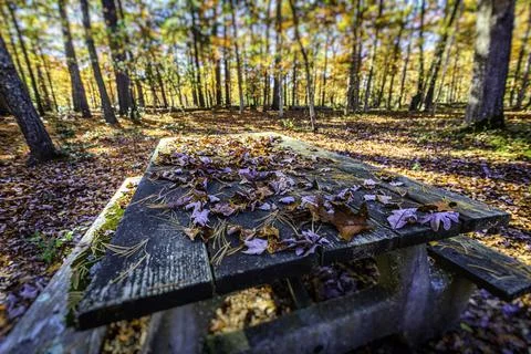 View of a beautiful nature Fall scenery Stock Photos
