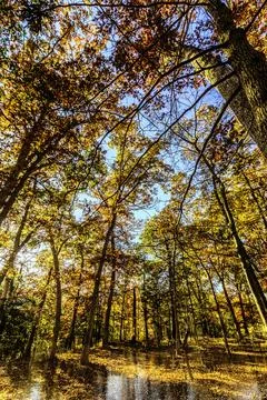 View of a beautiful nature Fall scenery Stock Photos