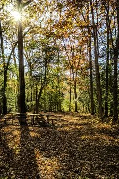 View of a beautiful nature Fall scenery Stock Photos