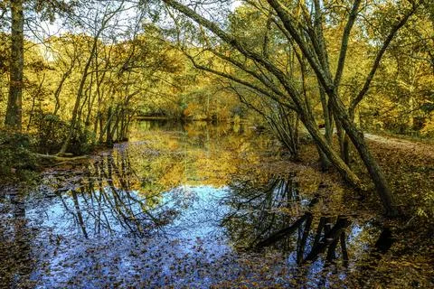 View of a beautiful nature Fall scenery Stock Photos
