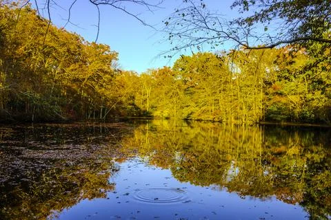View of a beautiful nature Fall scenery Stock Photos