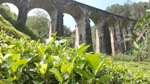View of the beautiful nine arch bridge from below Stock Footage 108106673