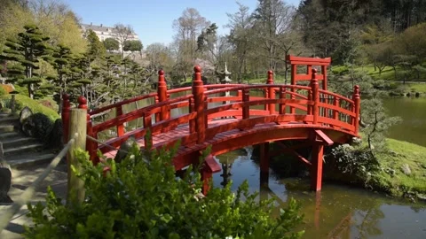 View on a beautiful red bridge in a park Stock Footage 172545266