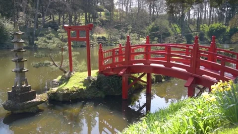 View on a beautiful red bridge in a park Video stock 172545267