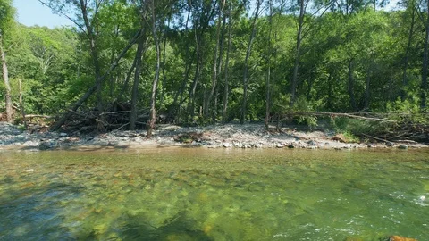 View of the beautiful river in a forest in UHD 스톡 동영상 115670533