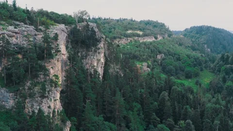 View of the beautiful rock forests with centuries-old trees from the quadcopter Stock Footage 247118186