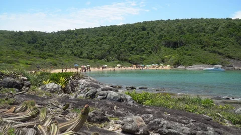 View of beautiful small beach with crystal clear green water, native vegetation Stock Footage 129471524