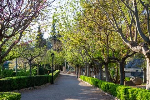 View of a beautiful spring path in a city park among freshly blooming trees Stock Photos