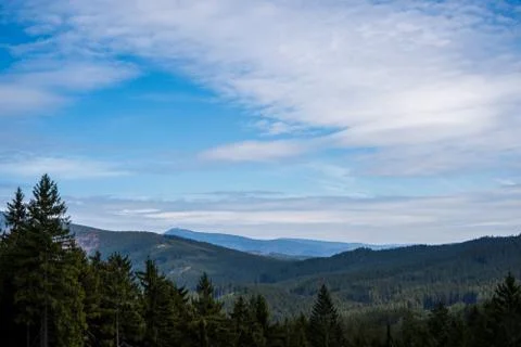 View of beautiful spruce forests in the mountains , czech beskydy Stock Photos