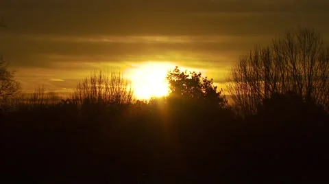 View of beautiful sunset Stock Footage 55570266