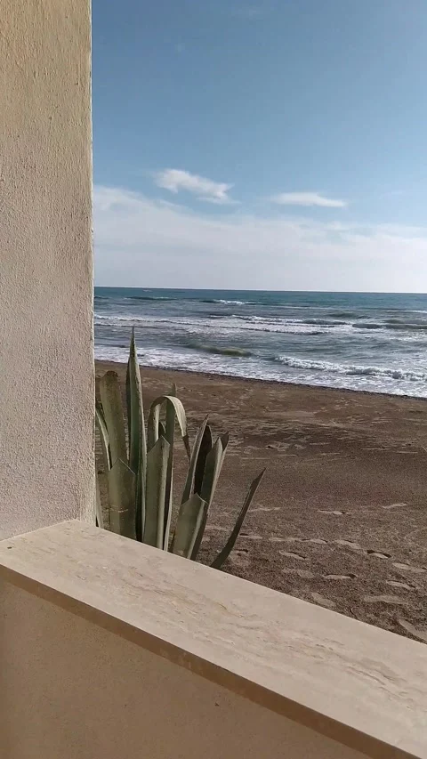 View from a beautiful terrace to the empty beach, sea and cactus Stock Footage
