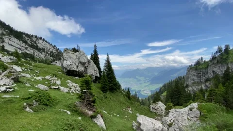 View of beautiful trees and mountain taken from train at Alpnachstad Stock Footage 136632517
