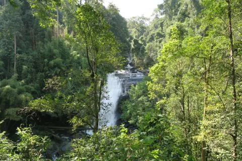 View on a beautiful waterfall in the forest Stock Photos