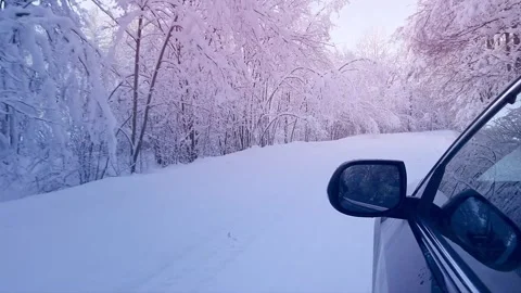 View of beautiful winter forest from a moving car. Stock Footage 260233406