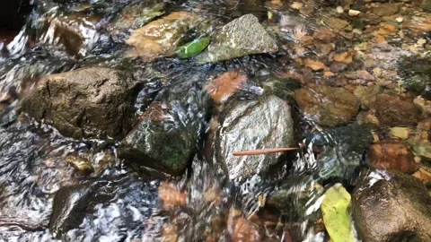 View of beautifull waterfall in deep forest. Stock Footage 144262321