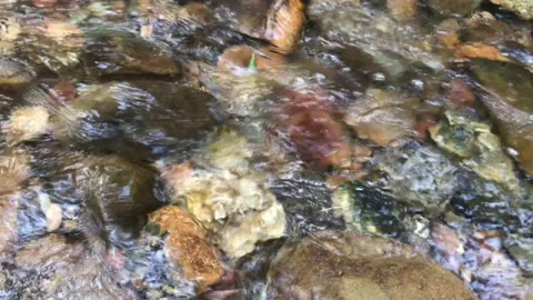 View of beautifull waterfall in deep forest. Stock Footage 144418142