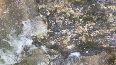 View of beautifull waterfall in deep forest. Stock Footage 144418143